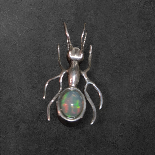 Ant
