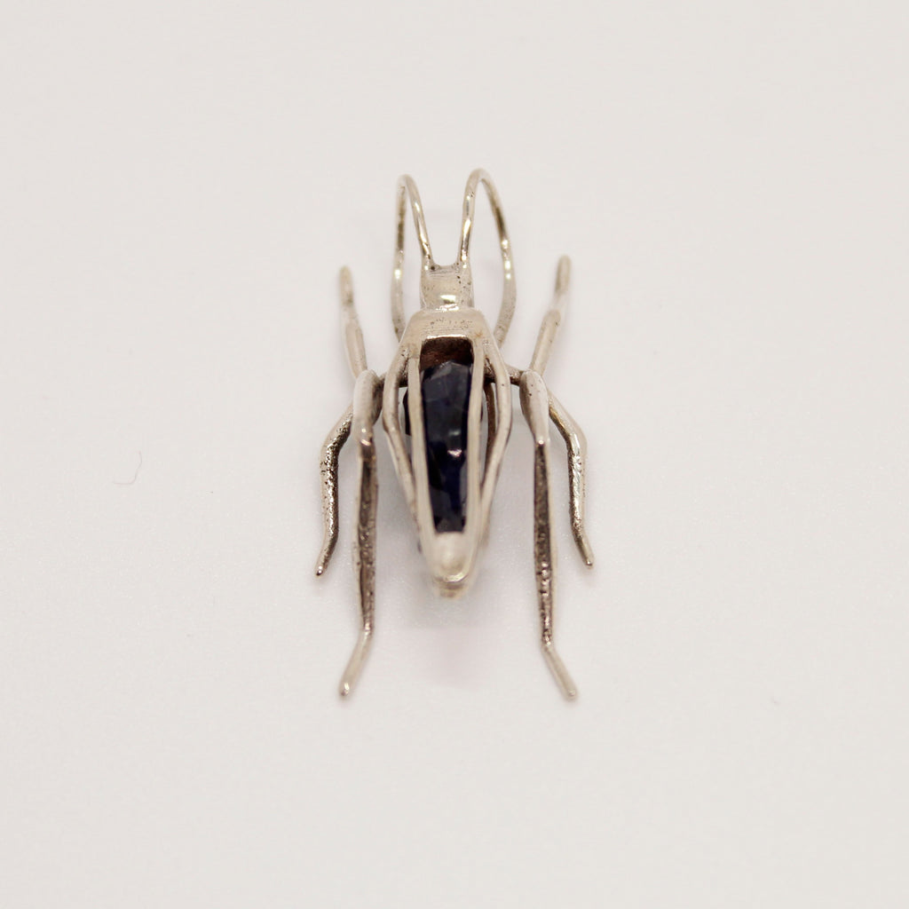 Grasshopper