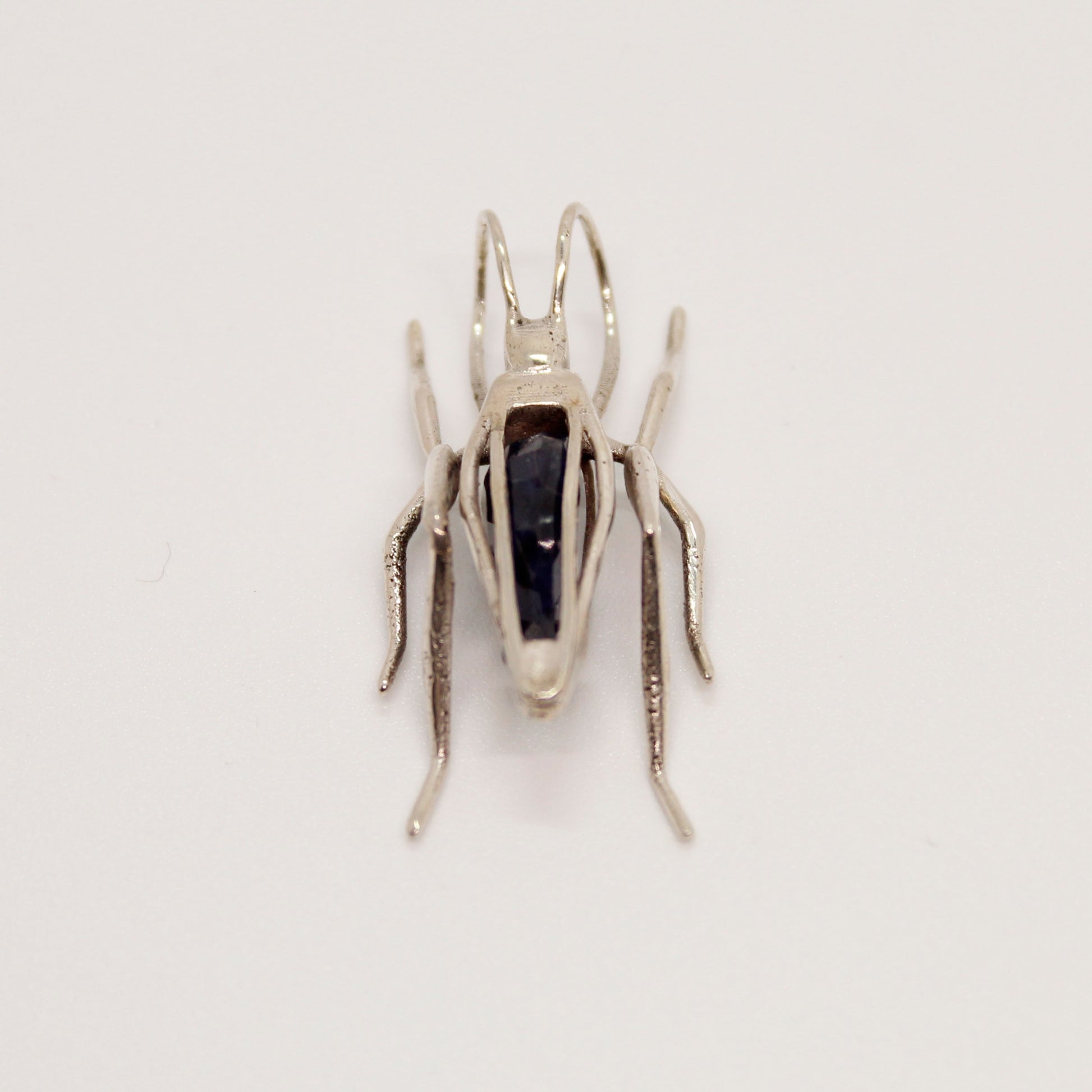 Grasshopper